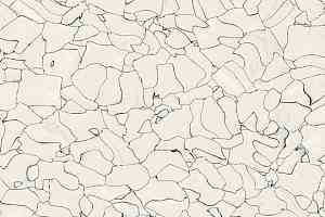 Кварцвиниловые полы Forbo Colorex EC EC 250202 ivory фото  | FLOORDEALER